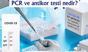 PCR Testi Ve Antikor Testi Arasındaki Fark